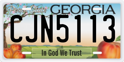 GA license plate CJN5113