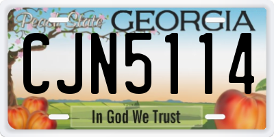 GA license plate CJN5114
