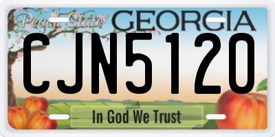 GA license plate CJN5120
