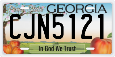 GA license plate CJN5121