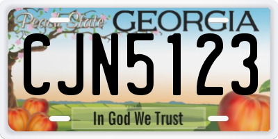 GA license plate CJN5123