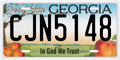 GA license plate CJN5148