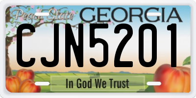 GA license plate CJN5201