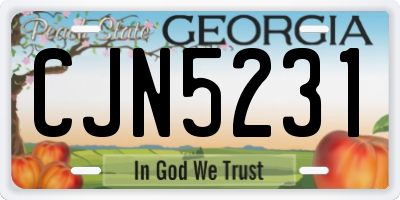 GA license plate CJN5231