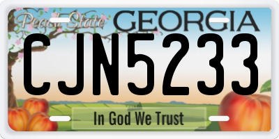 GA license plate CJN5233