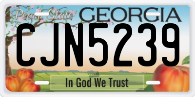 GA license plate CJN5239