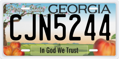 GA license plate CJN5244