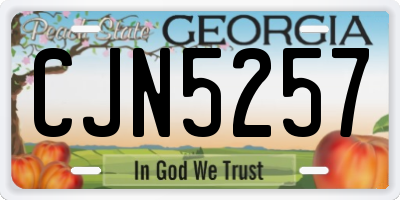 GA license plate CJN5257
