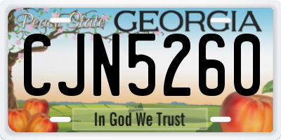 GA license plate CJN5260