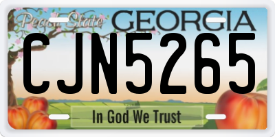 GA license plate CJN5265