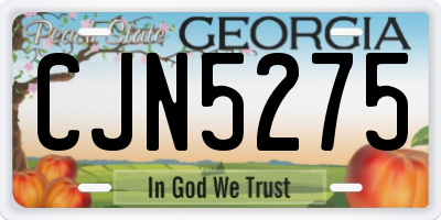 GA license plate CJN5275