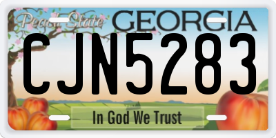 GA license plate CJN5283