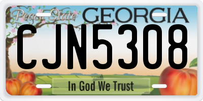GA license plate CJN5308