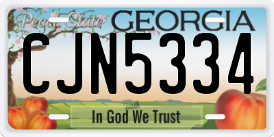 GA license plate CJN5334