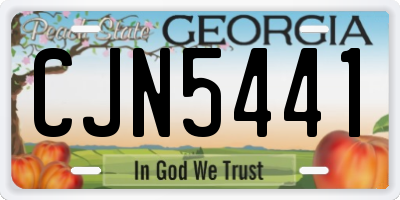 GA license plate CJN5441