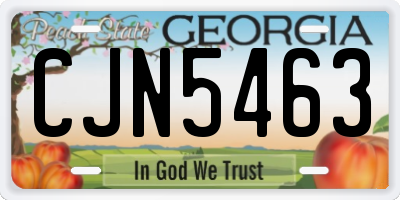 GA license plate CJN5463