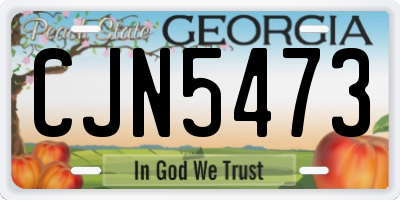 GA license plate CJN5473