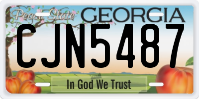 GA license plate CJN5487