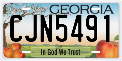 GA license plate CJN5491