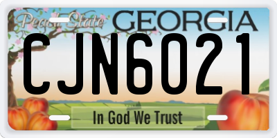GA license plate CJN6021