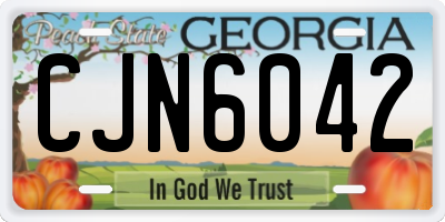 GA license plate CJN6042