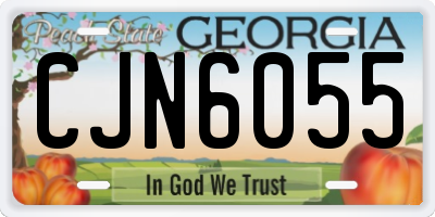 GA license plate CJN6055