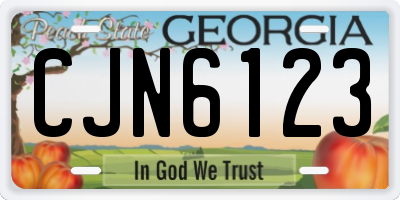 GA license plate CJN6123