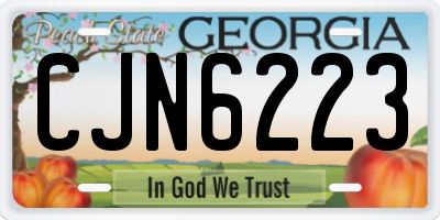 GA license plate CJN6223