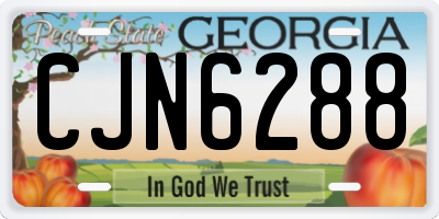 GA license plate CJN6288
