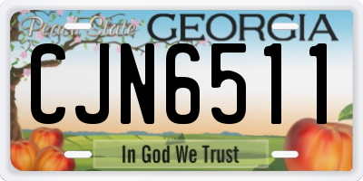 GA license plate CJN6511