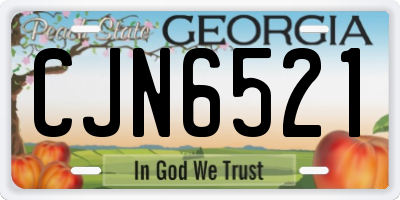 GA license plate CJN6521
