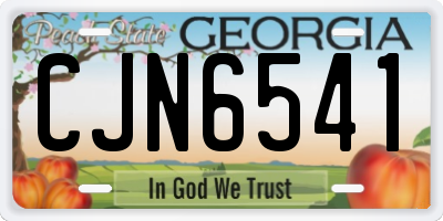GA license plate CJN6541