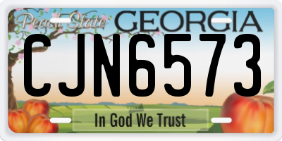 GA license plate CJN6573