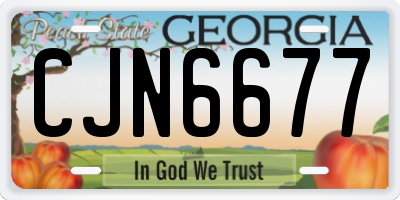 GA license plate CJN6677