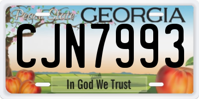 GA license plate CJN7993