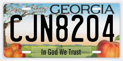 GA license plate CJN8204