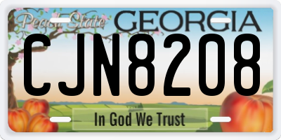 GA license plate CJN8208