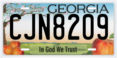 GA license plate CJN8209