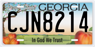 GA license plate CJN8214