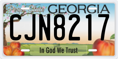 GA license plate CJN8217