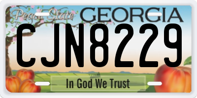 GA license plate CJN8229