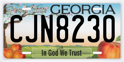 GA license plate CJN8230