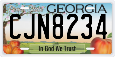 GA license plate CJN8234