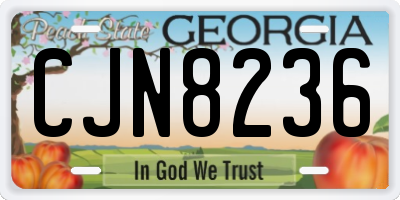 GA license plate CJN8236