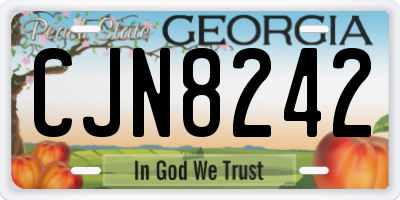 GA license plate CJN8242