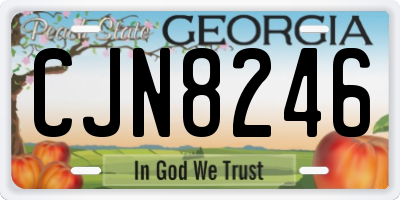 GA license plate CJN8246