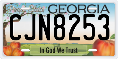GA license plate CJN8253