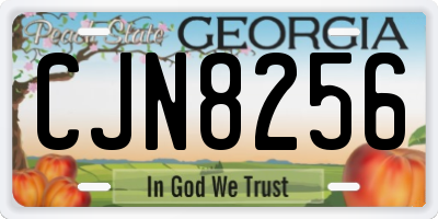 GA license plate CJN8256