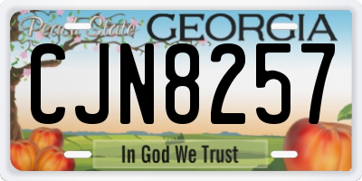 GA license plate CJN8257