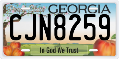 GA license plate CJN8259